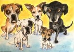 pet portrait dog caricature ireland