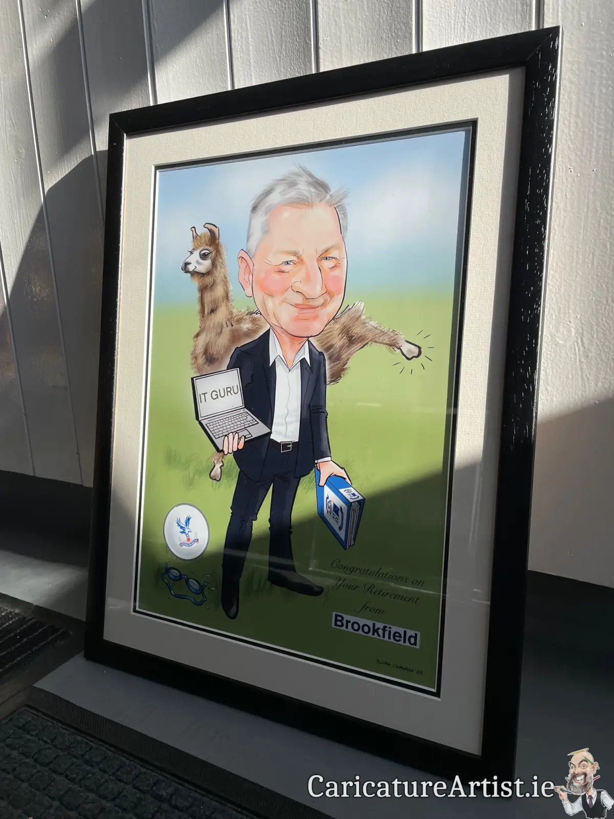 Framed Caricature Art Ireland Irish artist