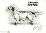 English Setter Breed Dog Portrait Drawing Every Dog Allan Cavanagh