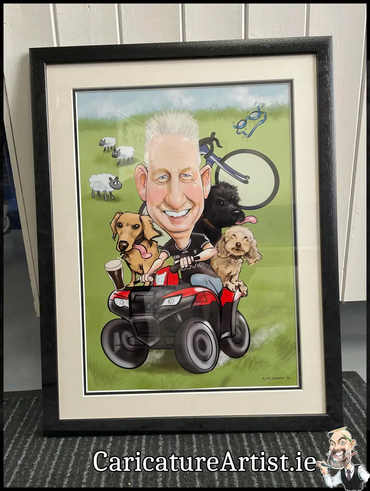 Gift Ideas for Farmers Ireland framed art