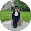 rebecca doyle Avatar