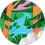 LF Avatar
